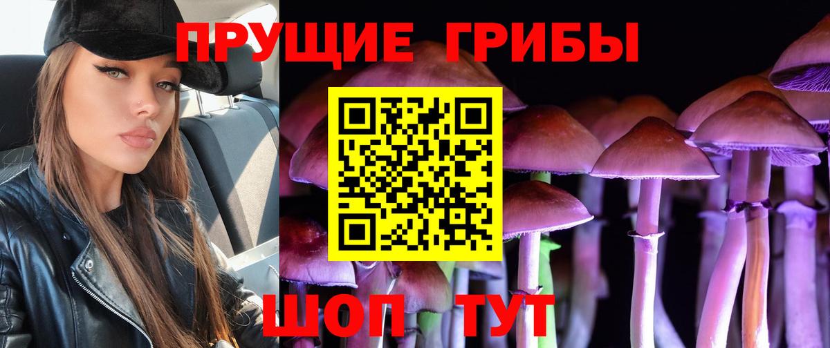Псилоцибиновые грибы ЛСД Урюпинск