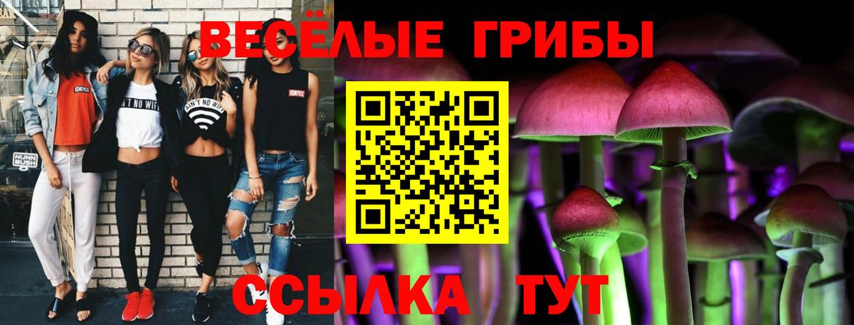 Галлюциногенные грибы Psilocybine cubensis  Вход с VPN  Урюпинск 